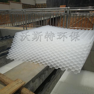 蜂窝斜管填料
